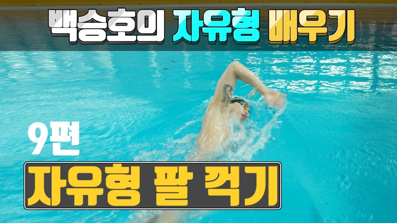 SHC 수영_[9편]_자유형팔꺽기_백승호의 자유형 배우기