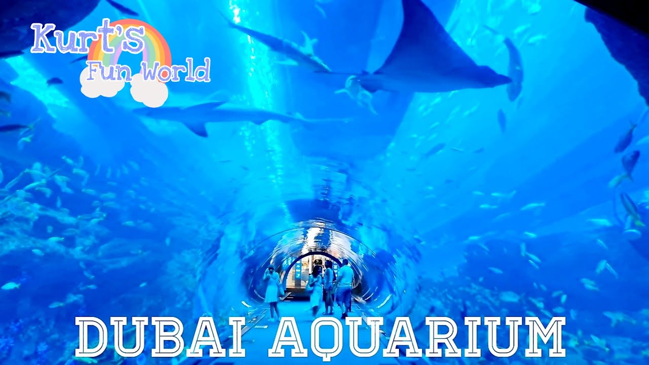 Dubai Aquarium, Underwater Zoo, and Penguin Cove Experience at Dubai Mall/Dubai, UAE