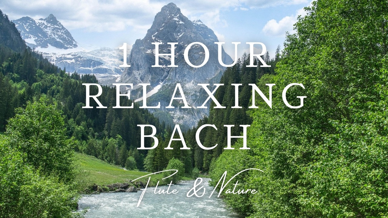 1 Hour Relaxing Bach Flute Music for Study & Sleep 【1時間・作業用・睡眠用】癒しのフルート
