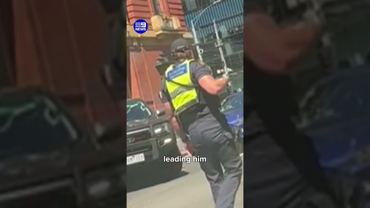 Undercover police ram erratic driver | 9 News Australia