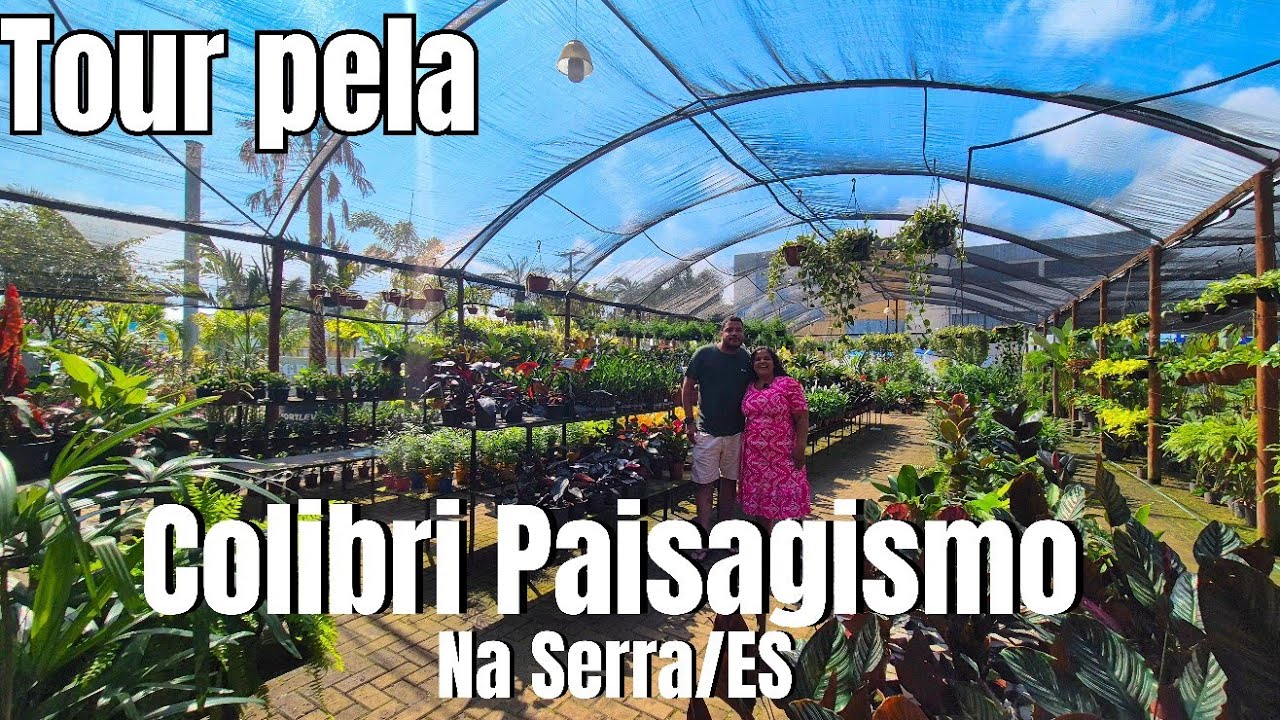 TOUR PELA GARDEN COLIBRI PAISAGISMO NA SERRA/ES: VÁRIAS ESPÉCIES DE PLANTAS | FOLHAGENS E FLORES