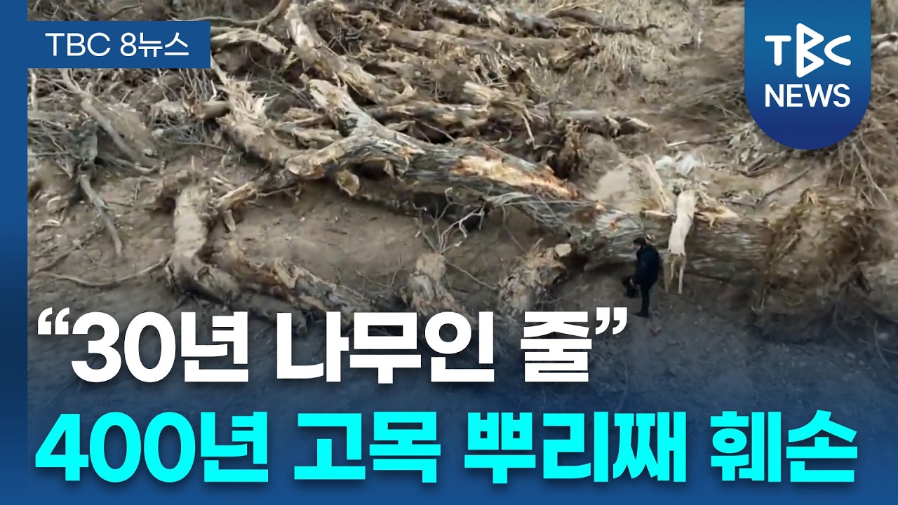 마구잡이 공사에 '항일의 숲' 쑥대밭ㅣTBC뉴스