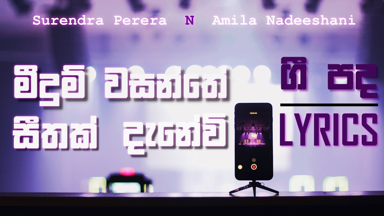 Meedum Wasanthe (Lyrics) | මීදුම් වසන්තේ සීතත් දැනේවි | Surendra ft. Amila
