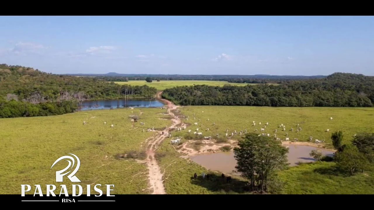 Fazenda pronta pra pequaria Tocantins 