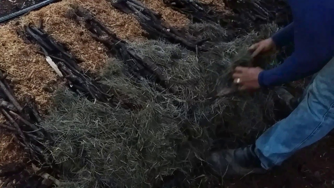 Cobrindo Canteiro, Agricultura Sintr&oacute;pica, Agrofloresta