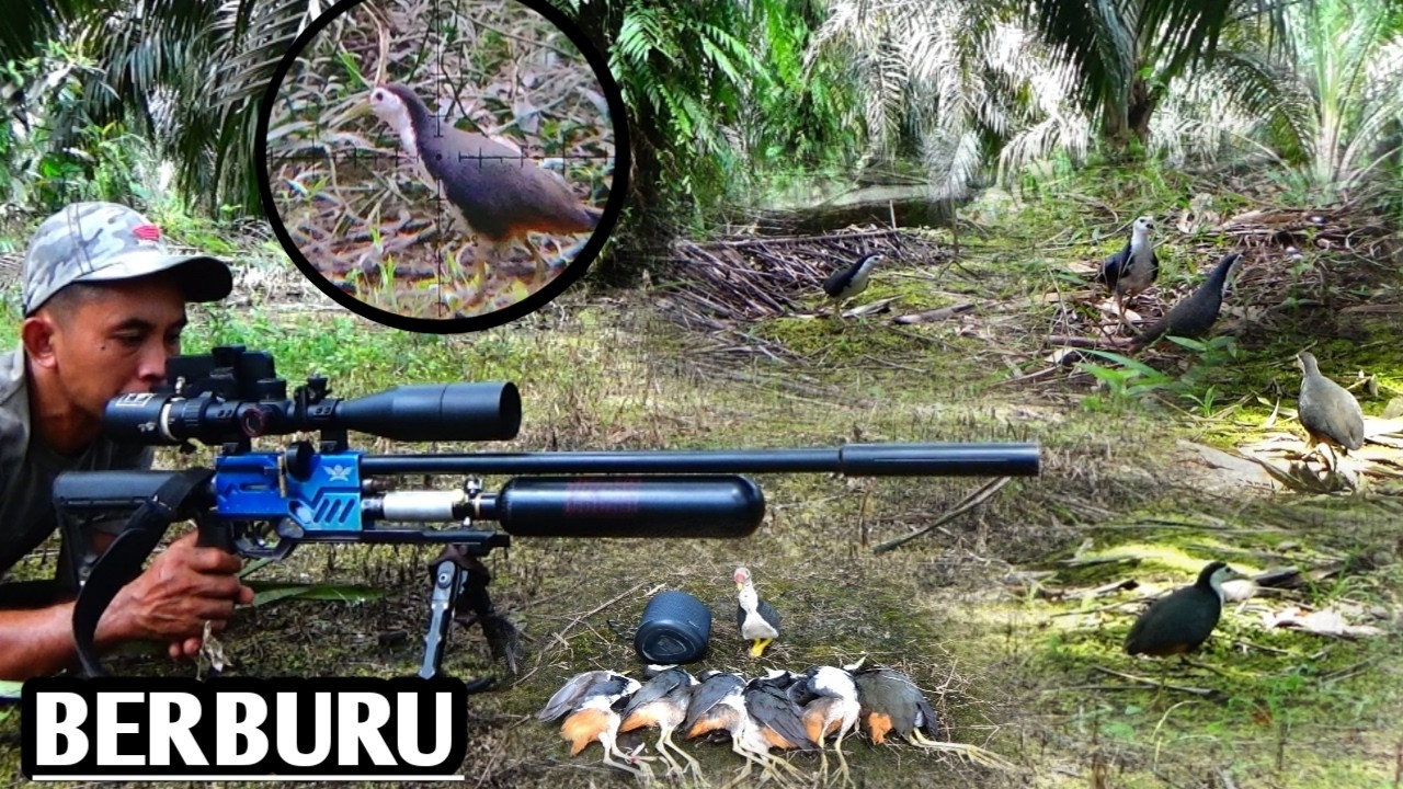 Gila‼️spot pinggir sungai kecil ruak ruaknya melimpah‼️hunting burung rawa
