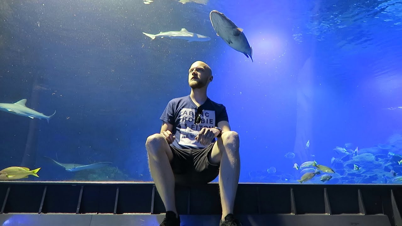 WROCLOVE CZY WROCŁAW?