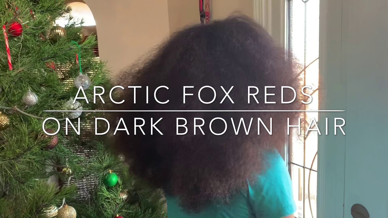 Trying Arctic Fox Reds on Dark Brown Hair. Which Red Shows Up better? Using Porange, Wrath, & Poison