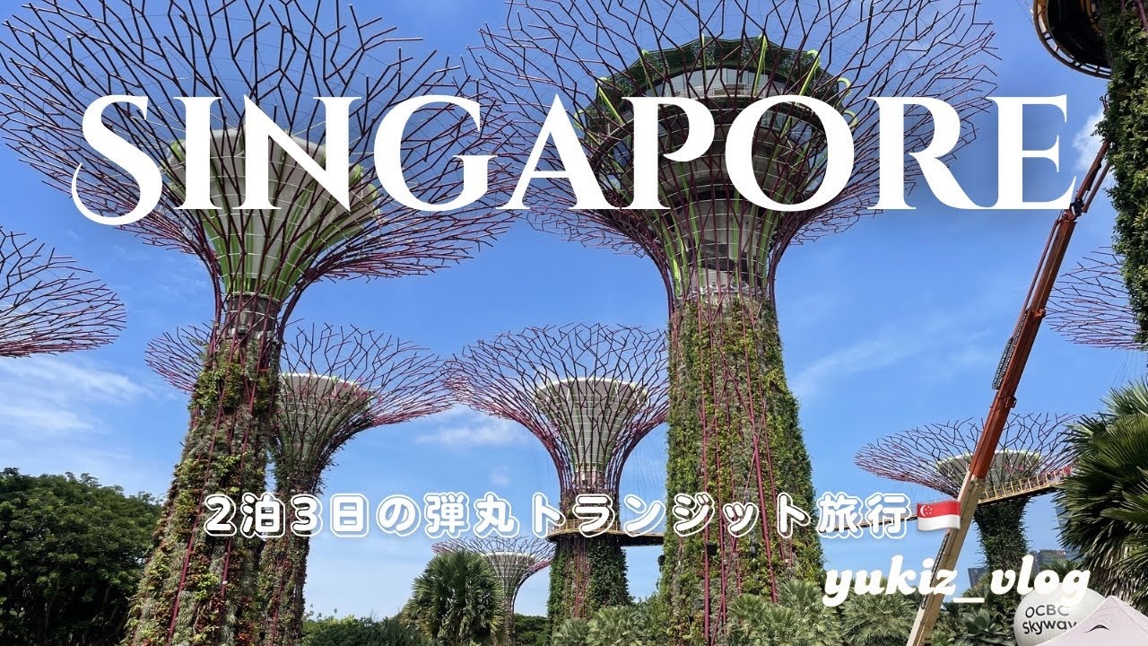【シンガポール🇸🇬】トランジットで2泊弾丸観光✈️🦋ジュラシックワールドコラボのクラウドフォレストが最高だった❤️