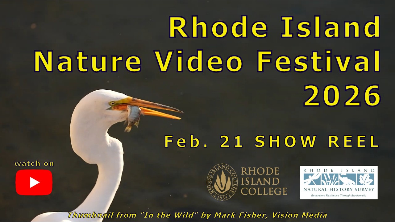 2026 Rhode Island Nature Video Festival SHOW REEL