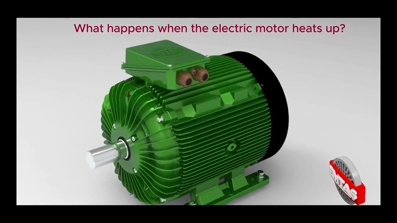 EMTAS IE4 Motors