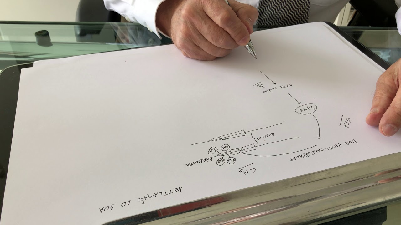 A causa das doenças autoimunes