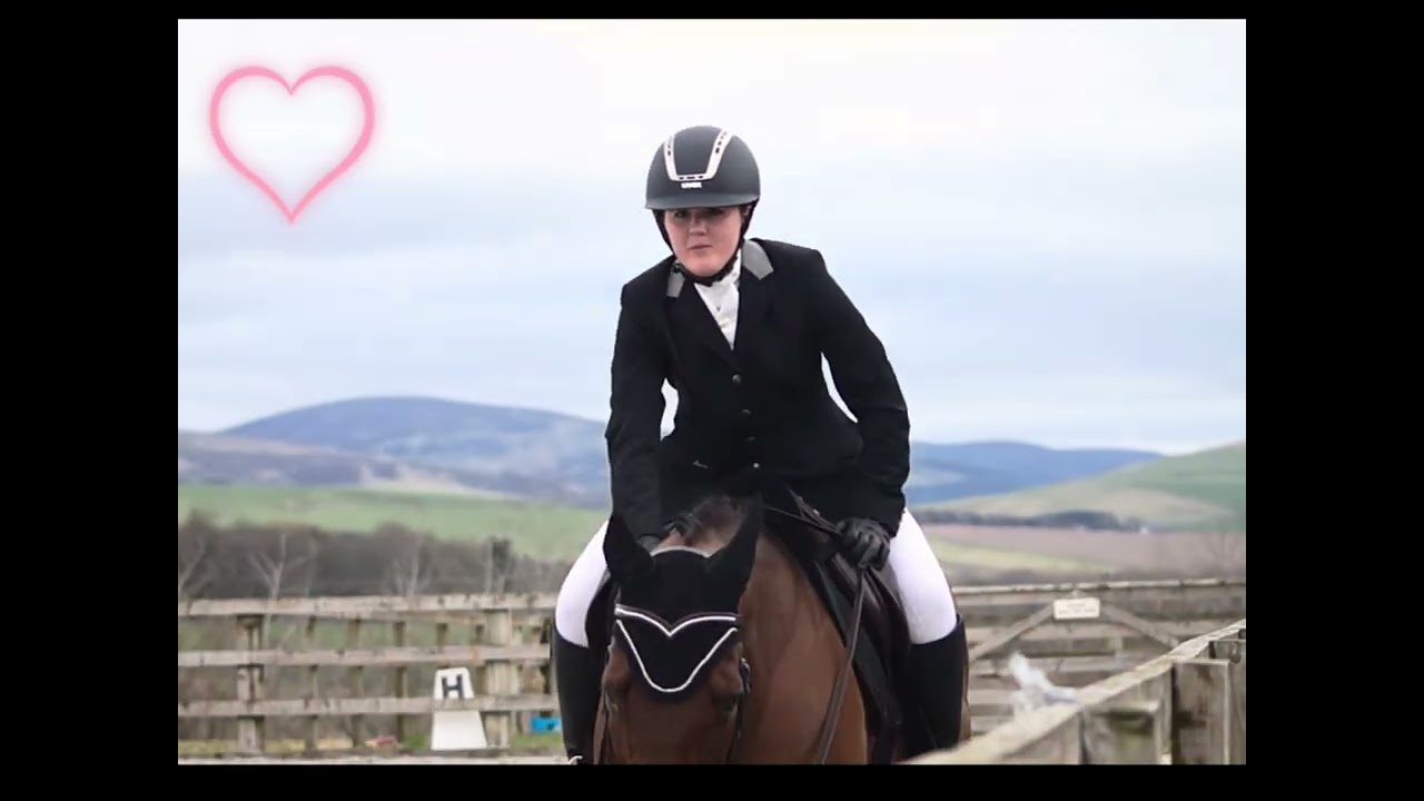Sad horse video