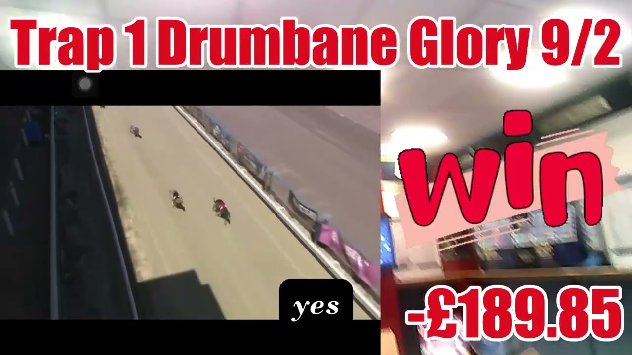 Betting Greyhounds All Day ££