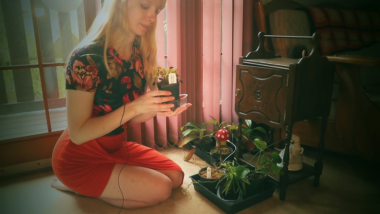 Мягкий тур по комнатным растениям ASMR