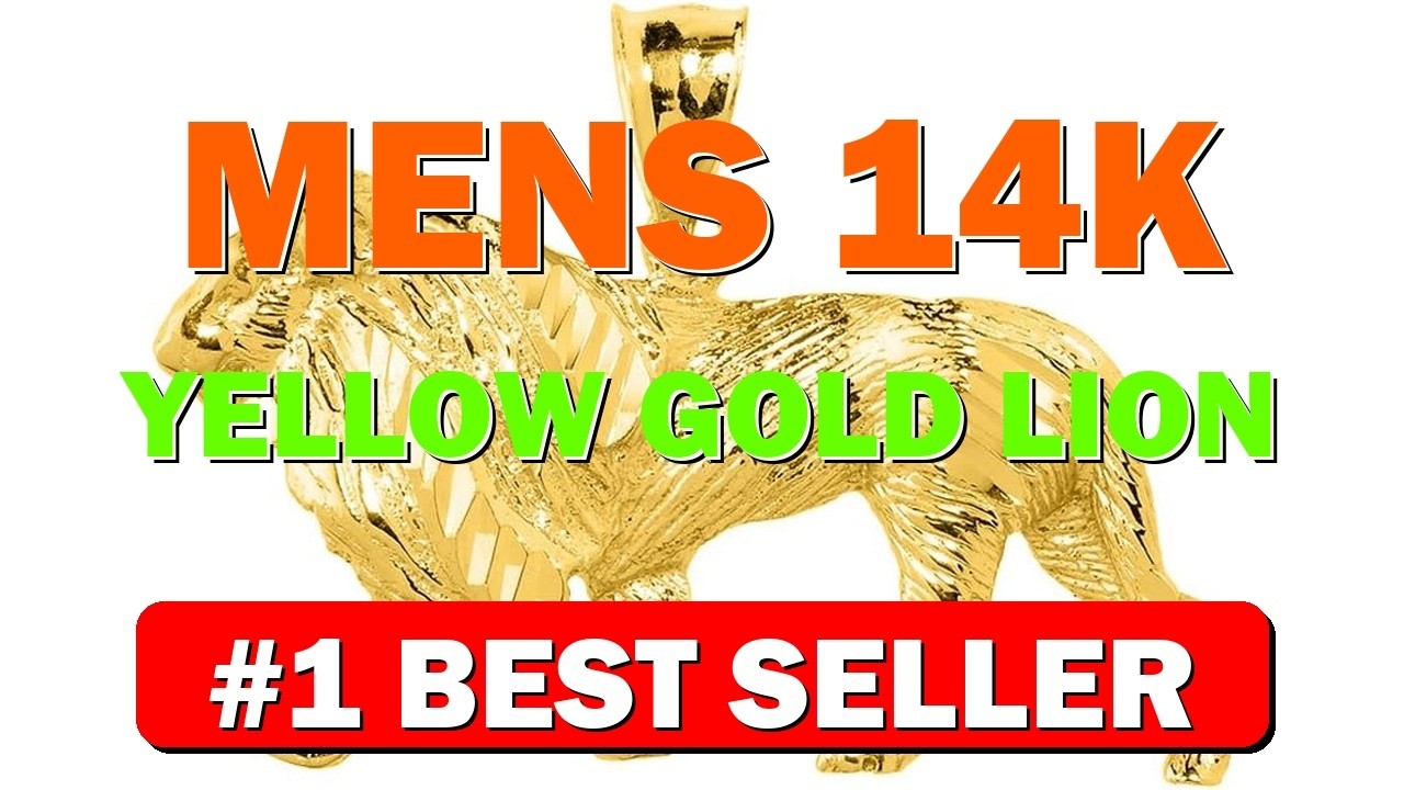 Men's 14k Yellow Gold Lion Necklace Pendant - B00PCT0EXW