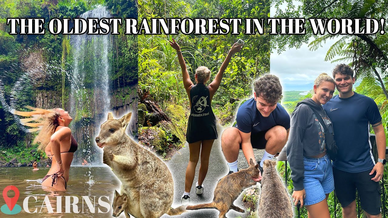 STAYING OVERNIGHT IN THE WORLDS OLDEST RAINFOREST! 🌴 Cairns, Australia