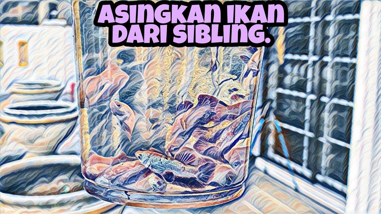 JAR 3 SPAWN IKAN. JIMAT RUANG DAN EFEKTIF?