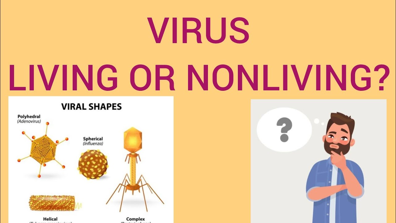 Introduction To Viruses(LEC#01) Living And Nonliving Characters Of Virus(Sindh Text/Fedral Board/PTB