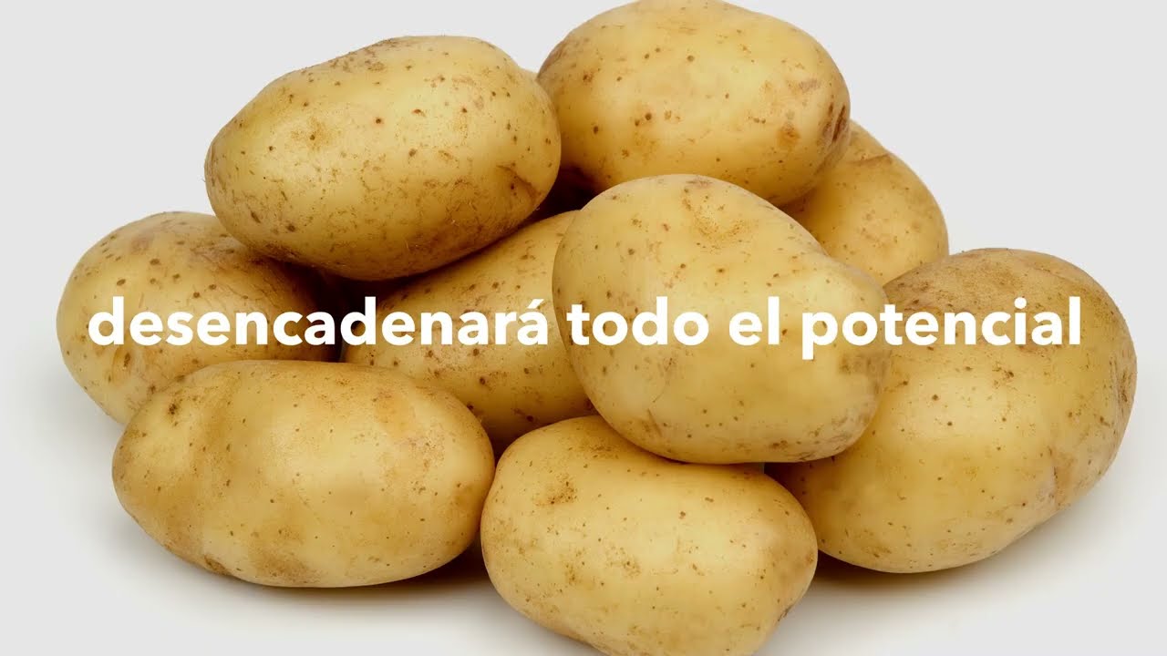 Descubre Quikon, el bioestimulante que desata el poder de tus cultivos