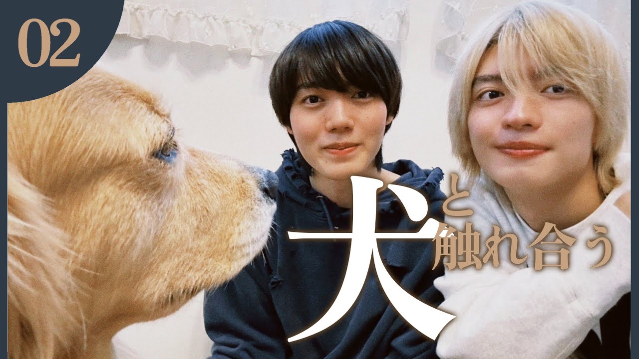 小泉・杢代×犬は最強すぎた【原因は自分にある。】