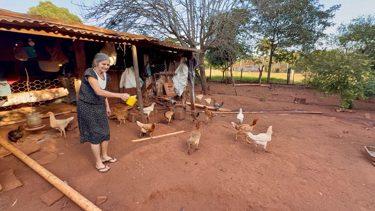 &ldquo;Dona Zilda, uma mulher simples e guerreira da ro&ccedil;a&rdquo;