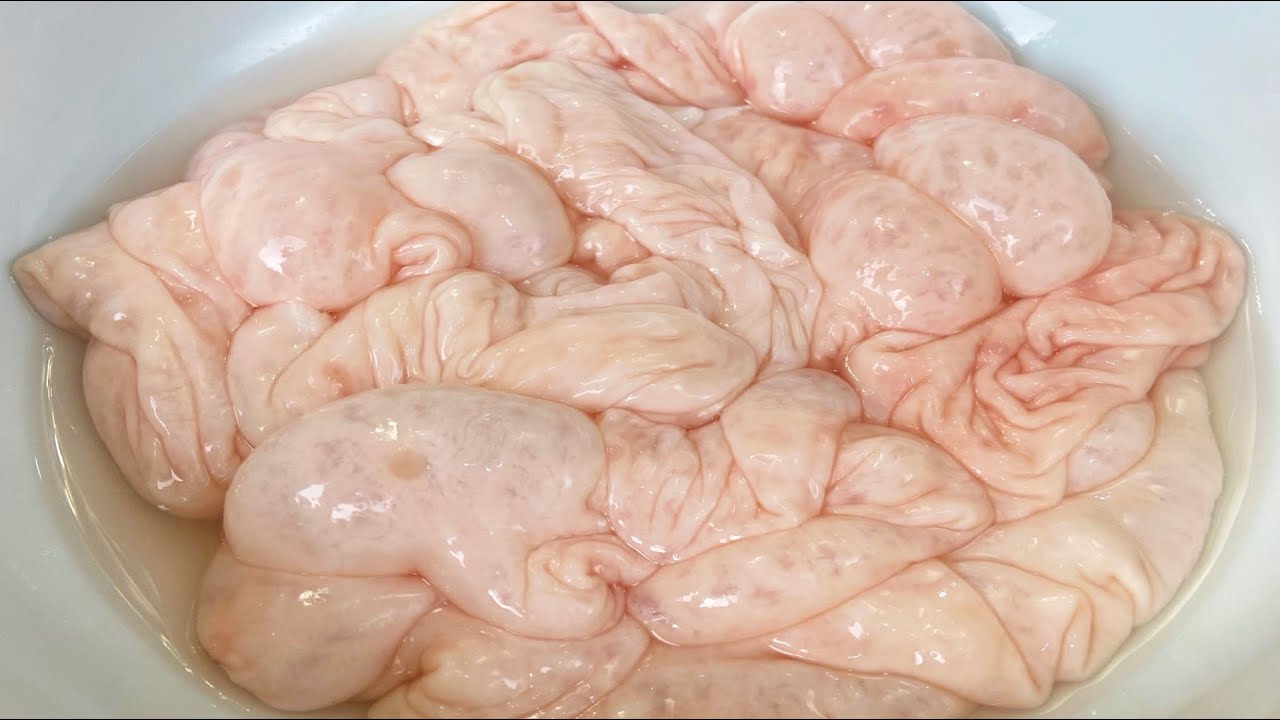 清洗豬大腸時，加醋加鹼都錯了，飯店大廚教我正確方法，一點都沒腥臭味 。【美食彩味 VS 明玥美食 Magic Food】 、清洗大肠 ，How ti clean pig innate ? 樂樂媽