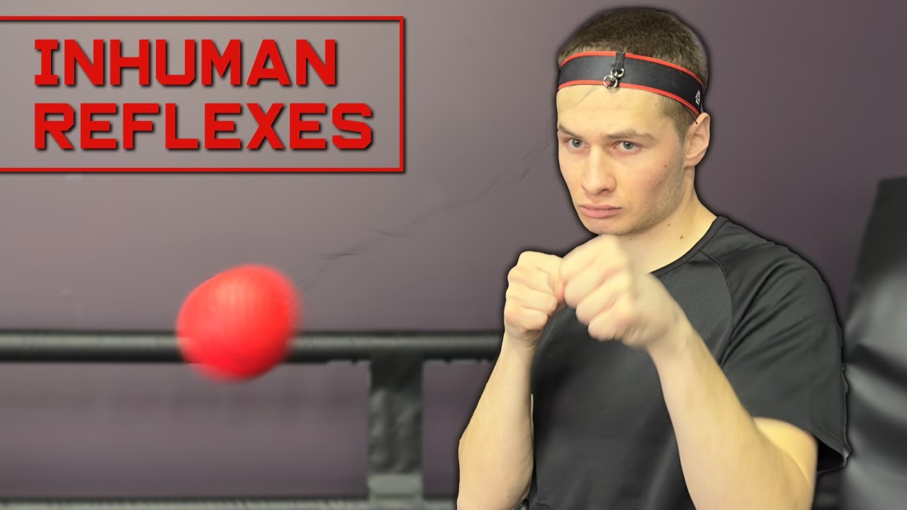 Boxing Reflex Ball Training: From 0 to 100