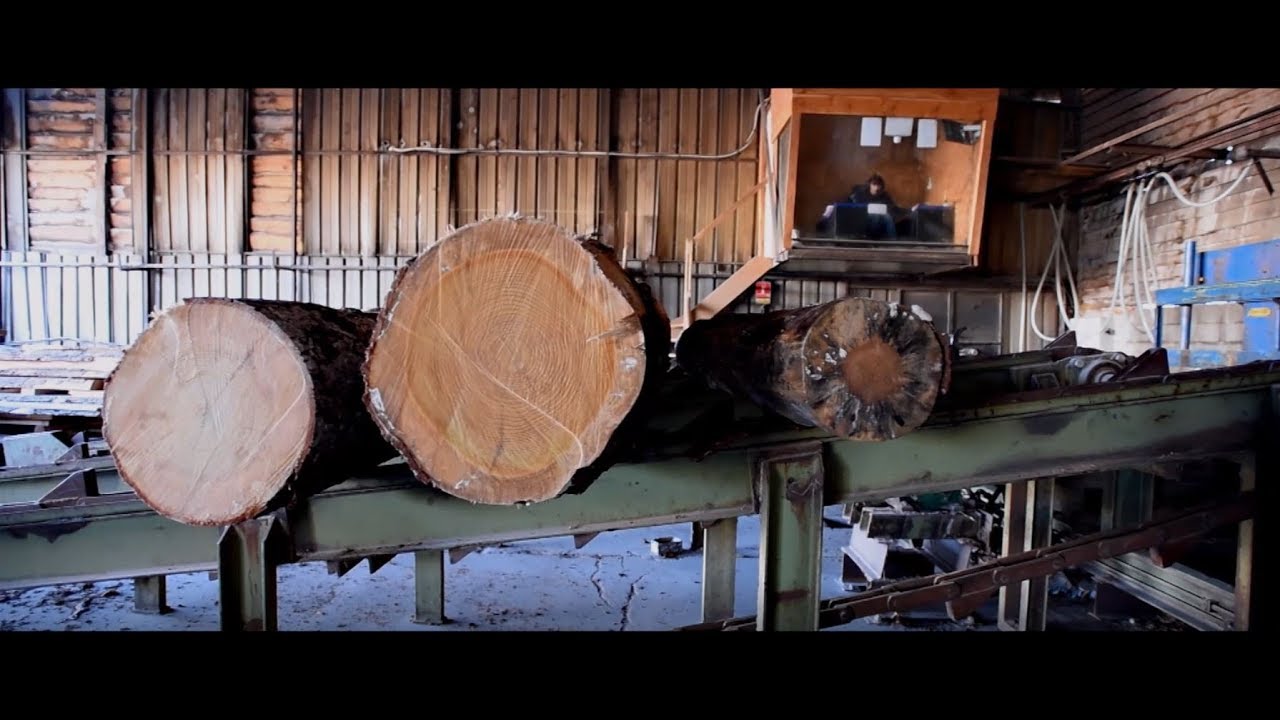 Ma forêt, Mon Ventoux - Regards croisés : # 8 - La transformation du bois