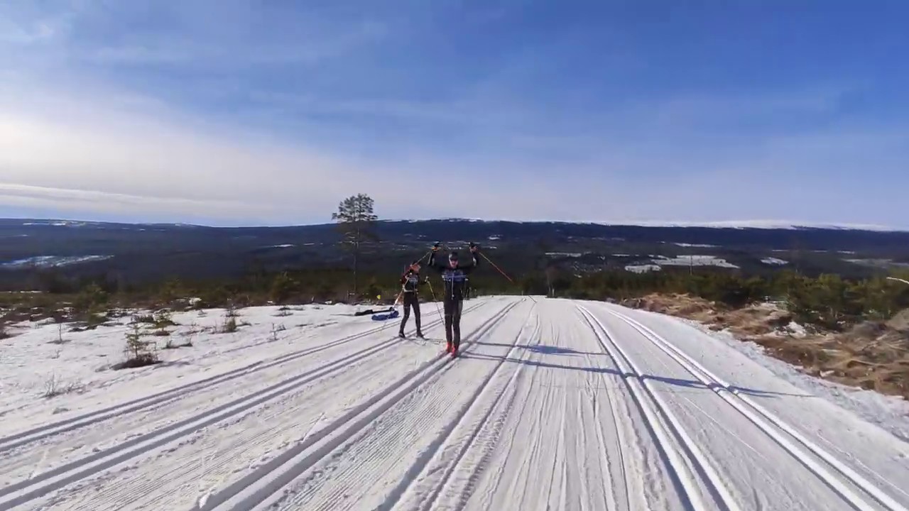 Vasaloppet start hill in the opposite direction Васалоппет, стартовый подъем в обратном направлении