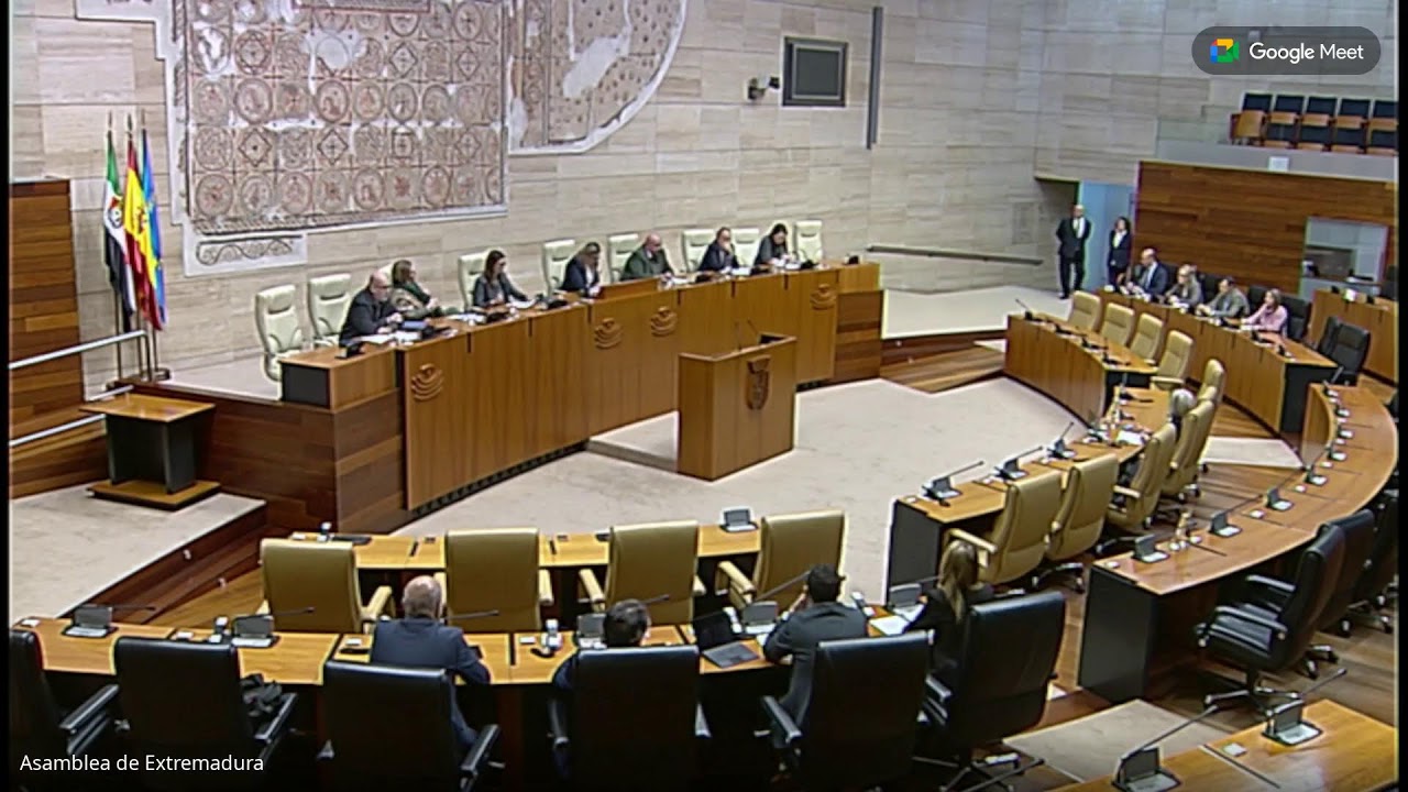 Diputación Permanente subtitulada por Youtube nº 3 23/12/2025