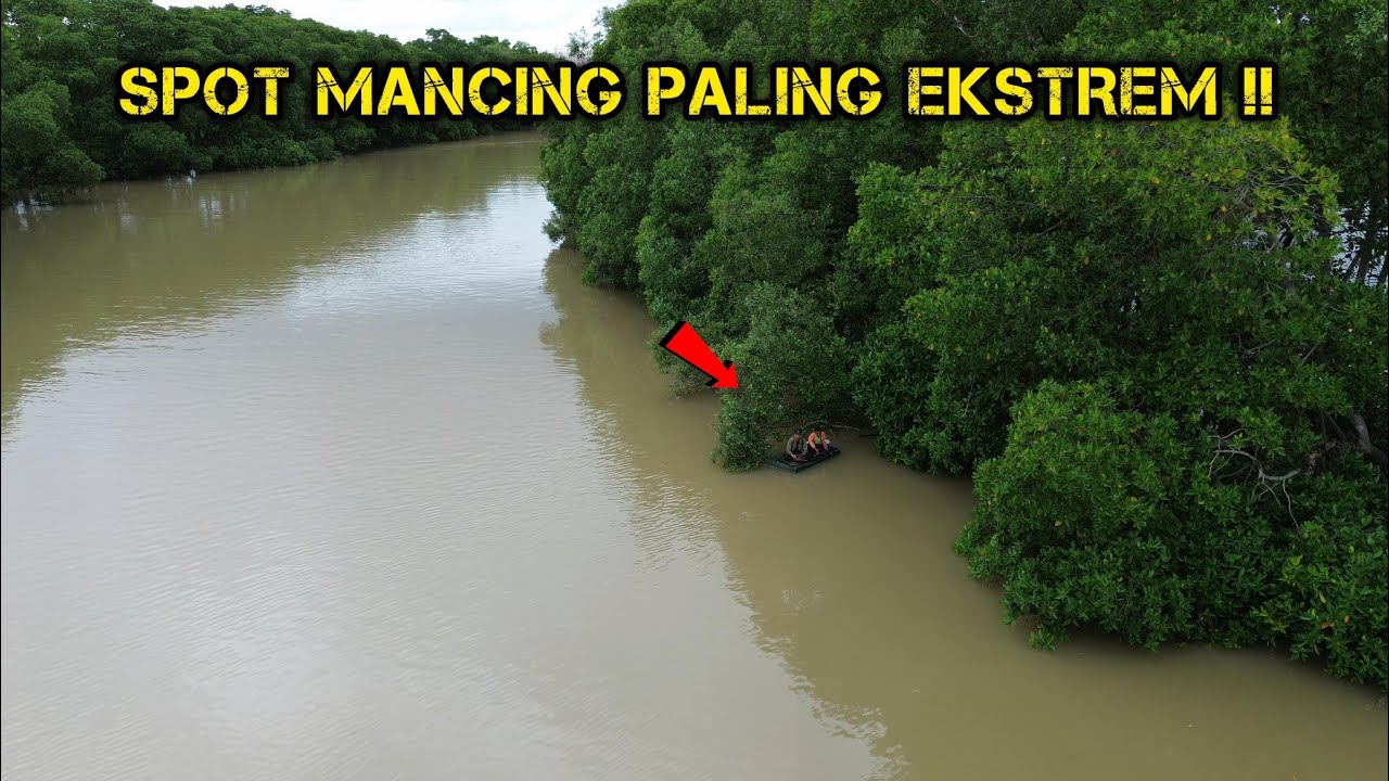 BERPETUALANG DI HUTAN BAKAU | FISHING CAMP ADVENTURE | MANCING DI SUNGAI !!