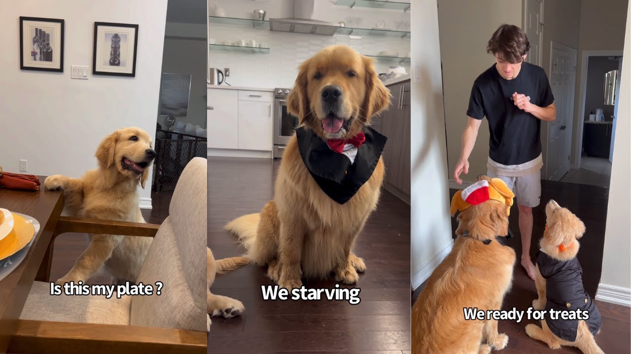 Sterling And Colin's Week Of Fun