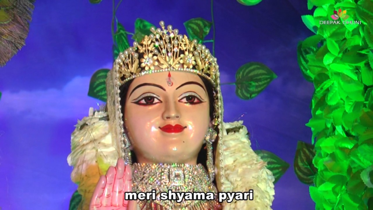 meri shyama pyari   live24live