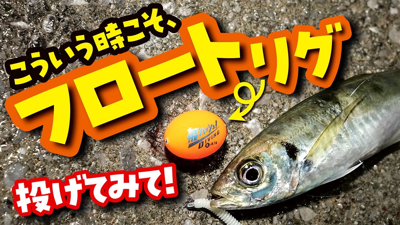 堤防アジングでフロートリグを投げるべきタイミングとは