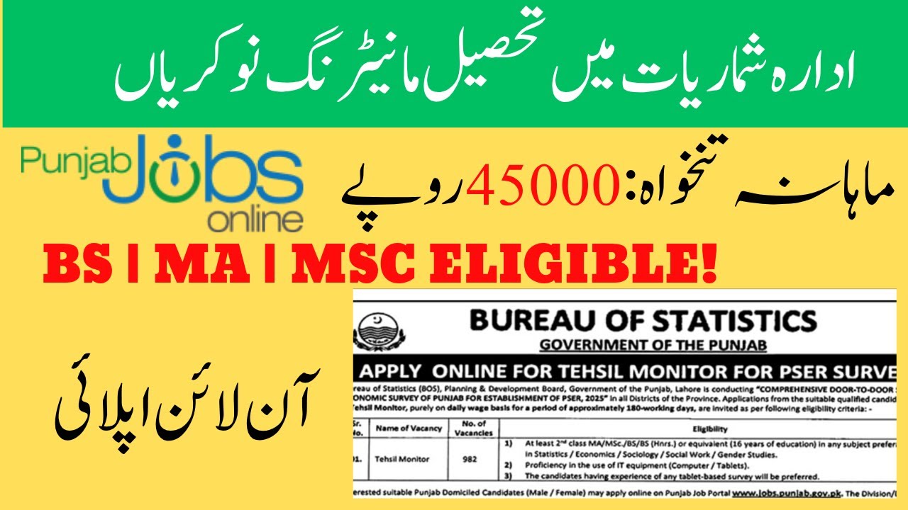 Tehsil Monitor Jobs 2025 in Punjab | Bureau of Statistics Jobs | Latest Jobs in Punjab