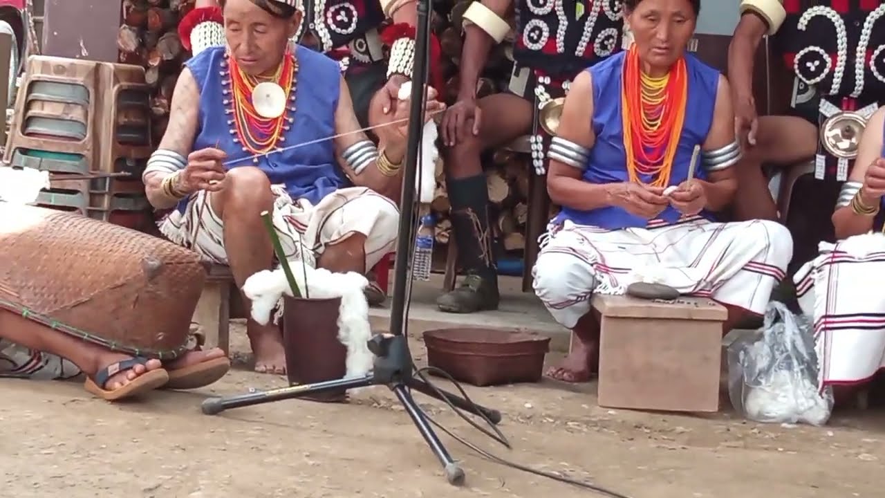 Performing Cotton Rearing | Cotton Rearing Kiphire Nagaland