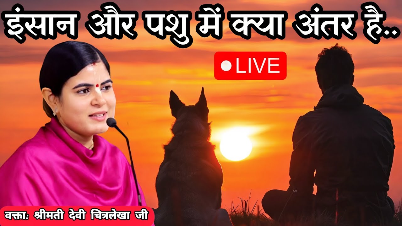 इंसान और पशु में क्या अंतर है....| Devi chitralekha ji
