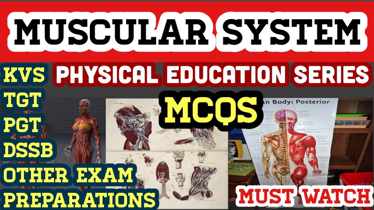 Muscular System MCQ || MCQS on Muscular System with Answers || Physical Education ||
