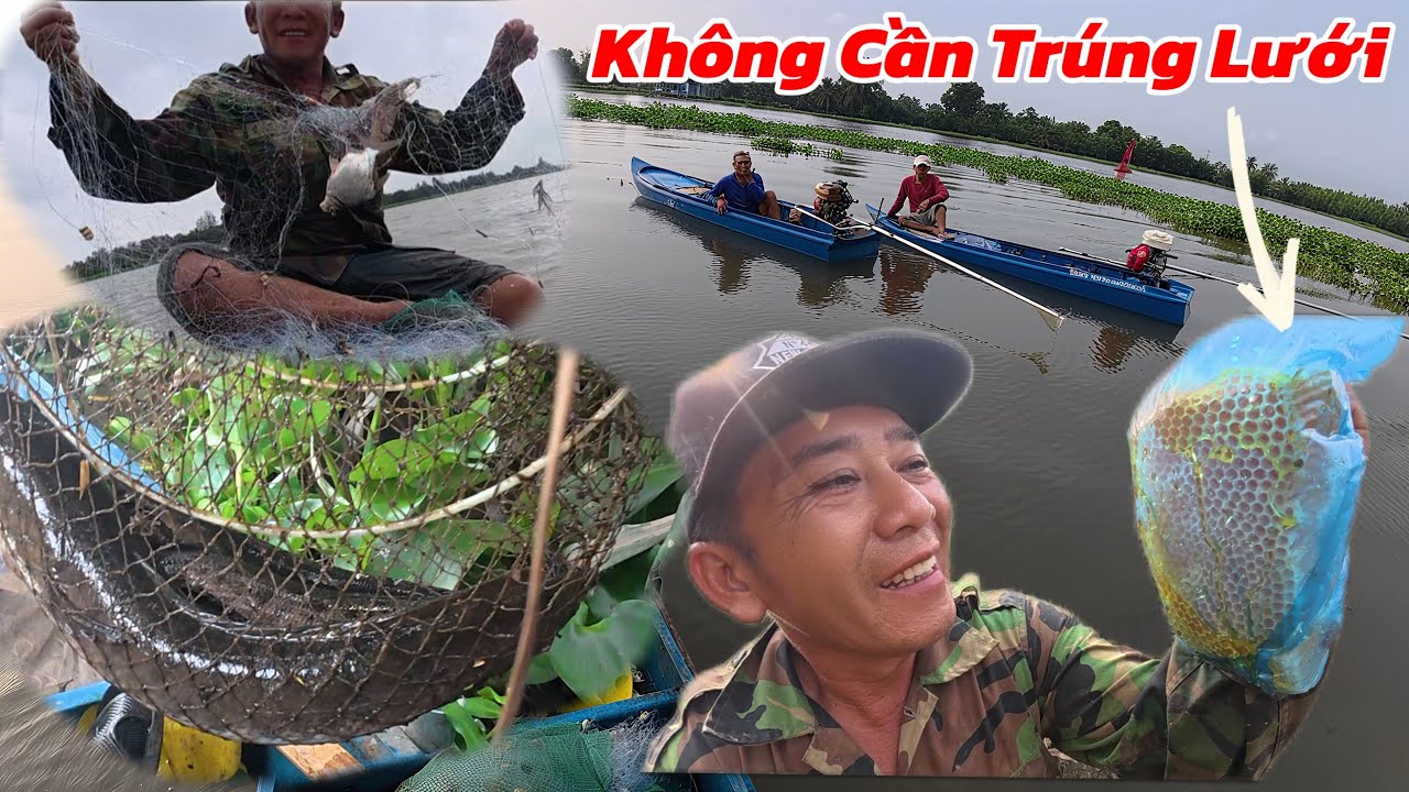 Ngày Mai Mắn Thả Lưới Thăm Lờ Trúng Đậm Hốt Được Tổ Ong Quá Ngon / Định Nguyễn Hậu Giang