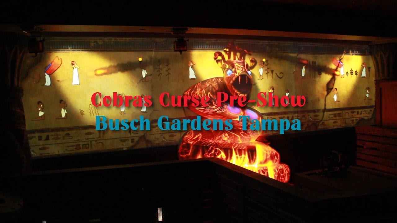 Cobras Curse Pre Show - Busch Gardens Tampa (HD)