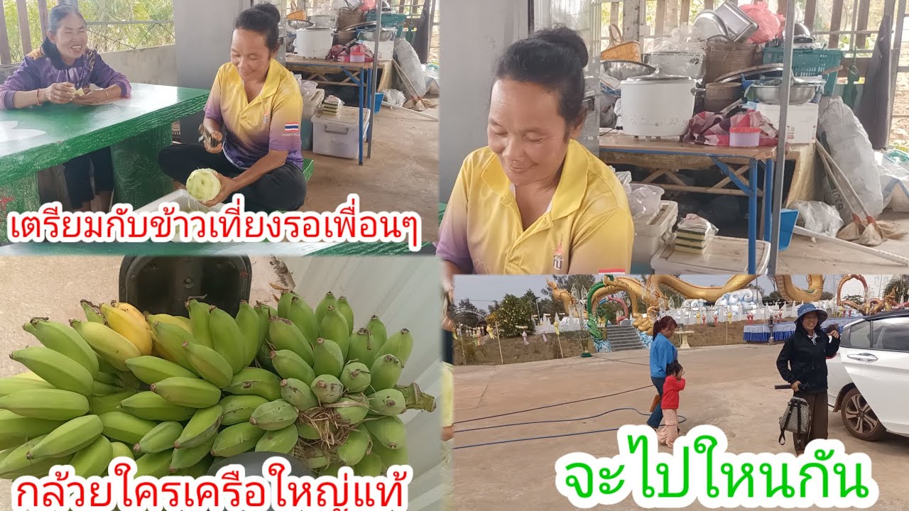 ตะลึงกล้วยบ้านลุงเต่าเครือใหญ่มาก!!เตรียมเมนูเที่ยง!!ทำอะไรรอเพื่อนๆ