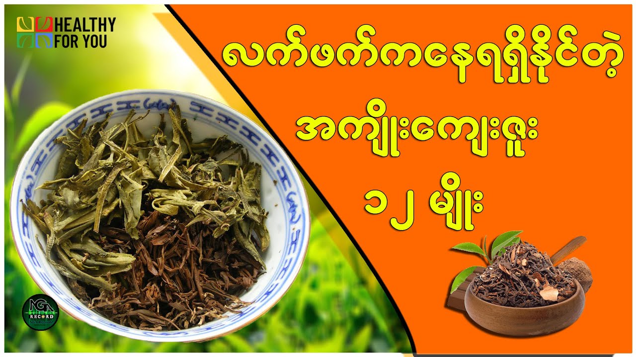 လက်ဖက် ကနေရရှိနိုင်တဲ့ အကျိုးကျေးဇူး ၁၂ မျိုး ( Healthy For You Myanmar )