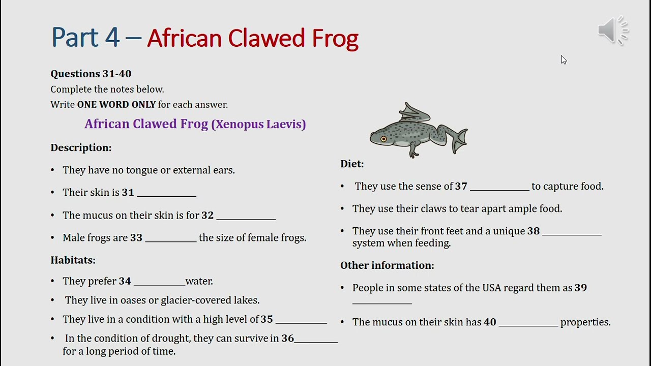 IELTS listening actual test Part 4: African clawed frog (answer+ transcript)