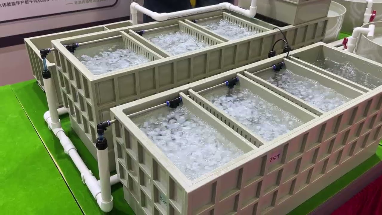 Ras Fish Farming System Aquaculture Equipment All in One