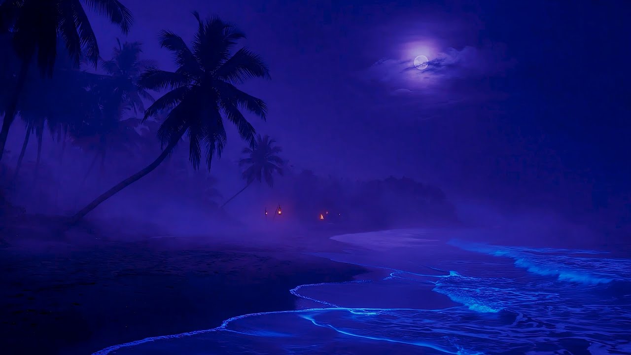 Palm Shadows Holding