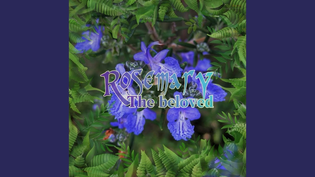 Rosemary The Beloved