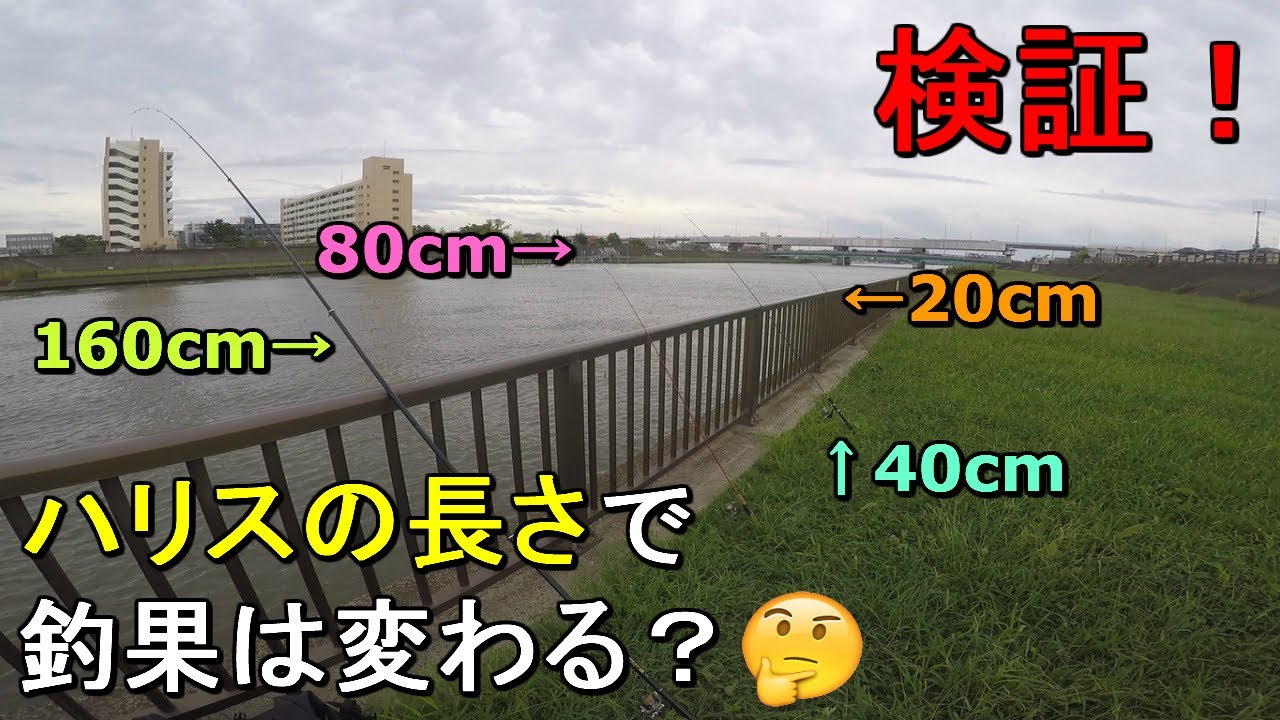 【新中川】ぶっこみ釣り仕掛けのハリスの長さや短さで釣果は変わるのか？検証してみたら意外な結果に！【2020.09.22】