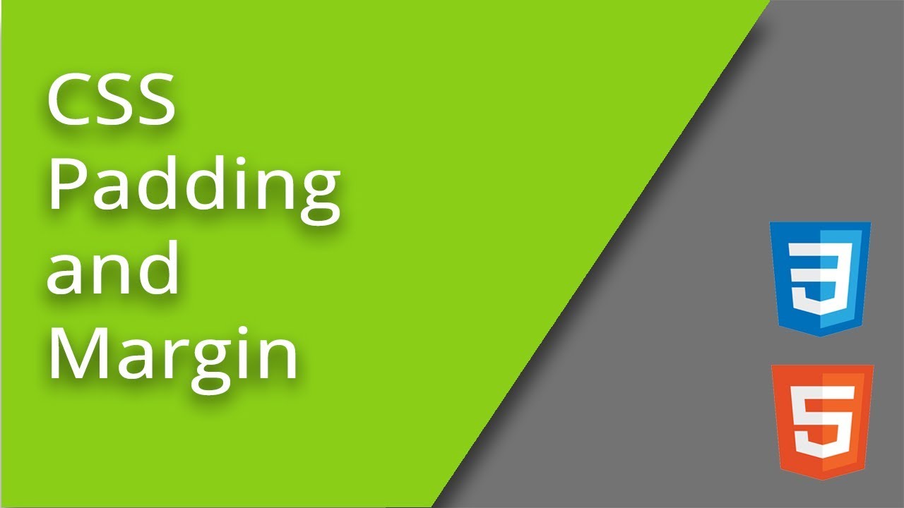 How CSS Padding and Margin Works