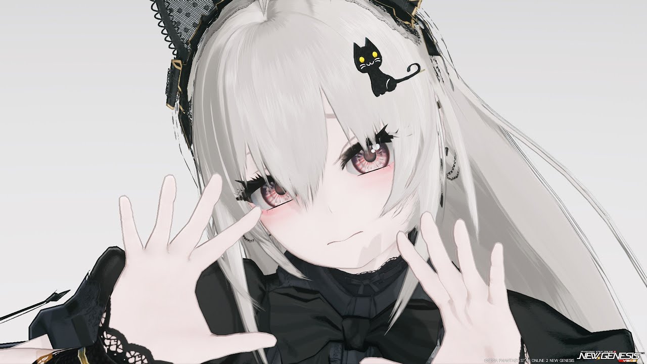 【PSO2:NGS】PHANTASY STAR ONLINE 2 NEW GENESIS CHARACTERCREATOR　アニマティカフェイスレシピその2
